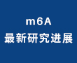 m6A新研究進(jìn)展盤點(diǎn)（20210316）