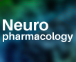 客戶文章丨湘雅醫院鄒望遠團隊揭示lncRNA MRAK159688促進大鼠嗎啡耐受的分子機制